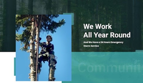 Image for Community Tree Care with ID of: 5884405