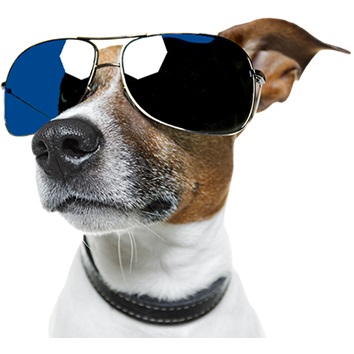 Image for Cool My Air with ID of: 5885789