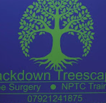 Image for Blackdown Treescapes with ID of: 5888498