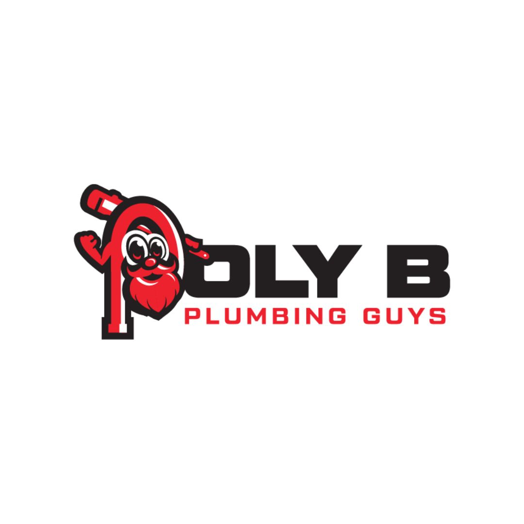 Image for The Poly B Plumbing Guys with ID of: 5895123