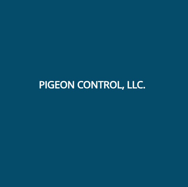 Image for Pigeon Control LLC with ID of: 5898033
