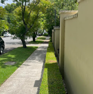 Image for Fine Line Lawns with ID of: 5900307