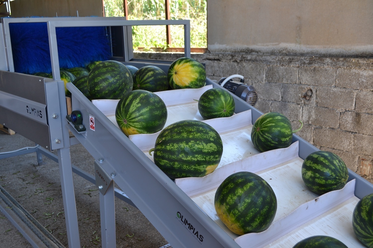 Image for Watermelon Processing Plant Project Report 2024: Comprehensive Business Plan with ID of: 5901407