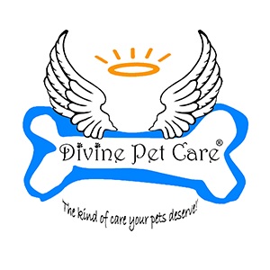 Image for pet sitting services san diego ca with ID of: 5904885