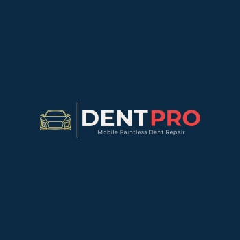 Image for Dent Pro with ID of: 5907445