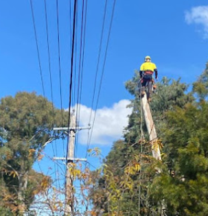 Image for Endeavour Tree Services with ID of: 5907850