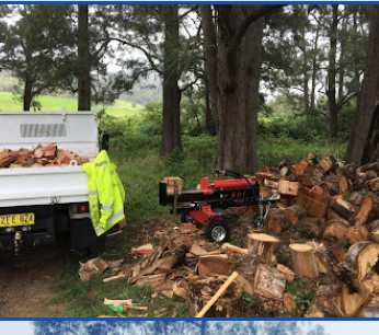 Image for Harbour Arbor Tree Care with ID of: 5909334
