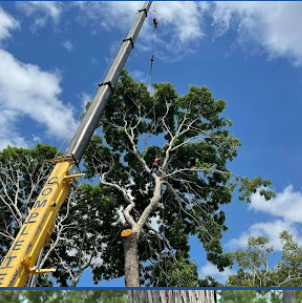 Image for Abetta Tree Services with ID of: 5909346