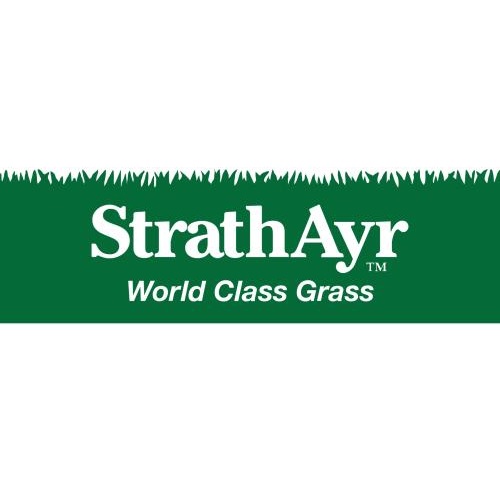 Image for Strath Ayr World Class Grass with ID of: 5921505