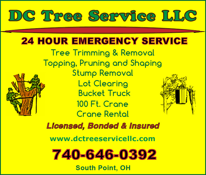 Image for DC Tree Service LLC with ID of: 592427