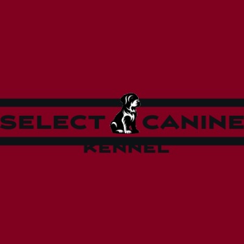 Image for Select Canine Kennel with ID of: 5932609