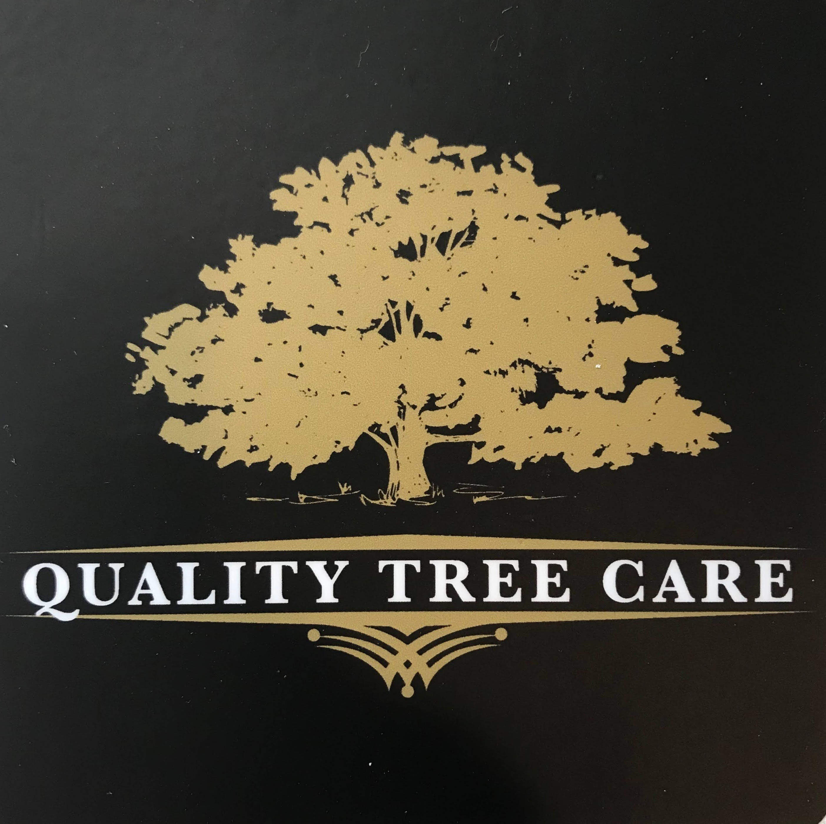 Image for Quality Tree Care with ID of: 5933218