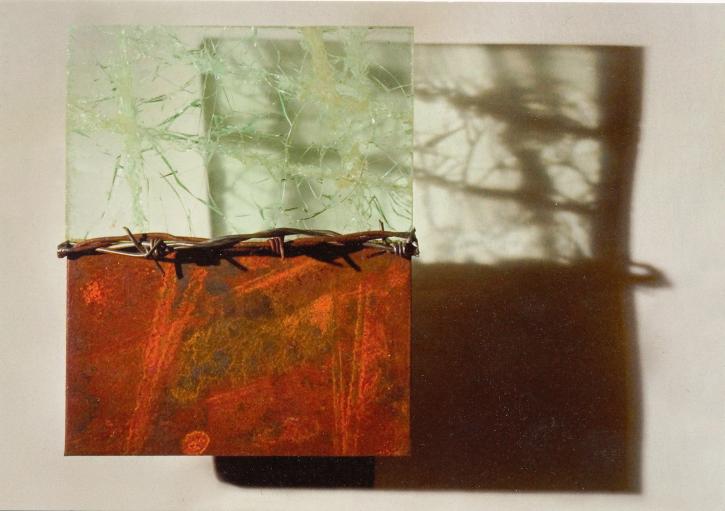 Image for A RELATIVE NARRATIVE  for RELATIVE  boundaries -  CHARLEE SWANSON  , VISUAL ARTIST . with ID of: 593940