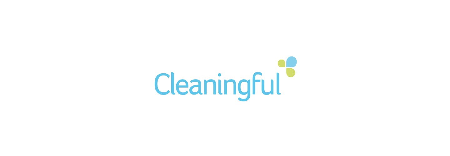 Image for Cleaningful with ID of: 5940414