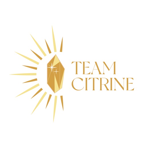 Image for Team Citrine with ID of: 5942363
