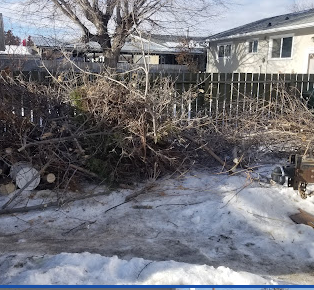 Image for AAR Junk with ID of: 5945201
