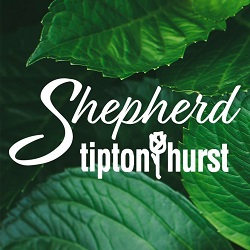 Image for Tipton & Hurst Shepherd with ID of: 5946448