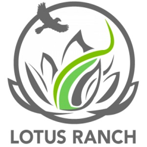 Image for Lotus Ranch with ID of: 5946493