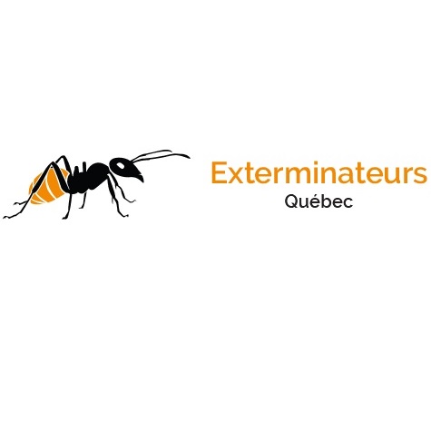 Image for Exterminateurs Québec with ID of: 5949493