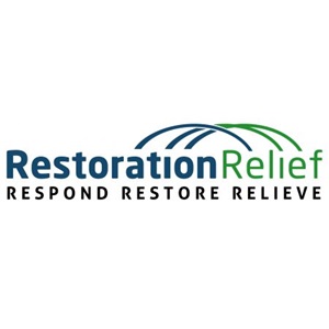Image for Restoration Relief with ID of: 5951087