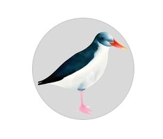Image for Pacific Coast Comforts LLC with ID of: 5959977