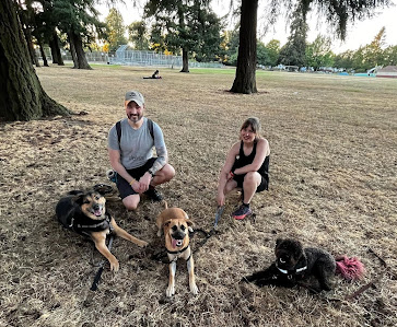 Image for Sit Down & Beyond Dog Training with ID of: 5961056