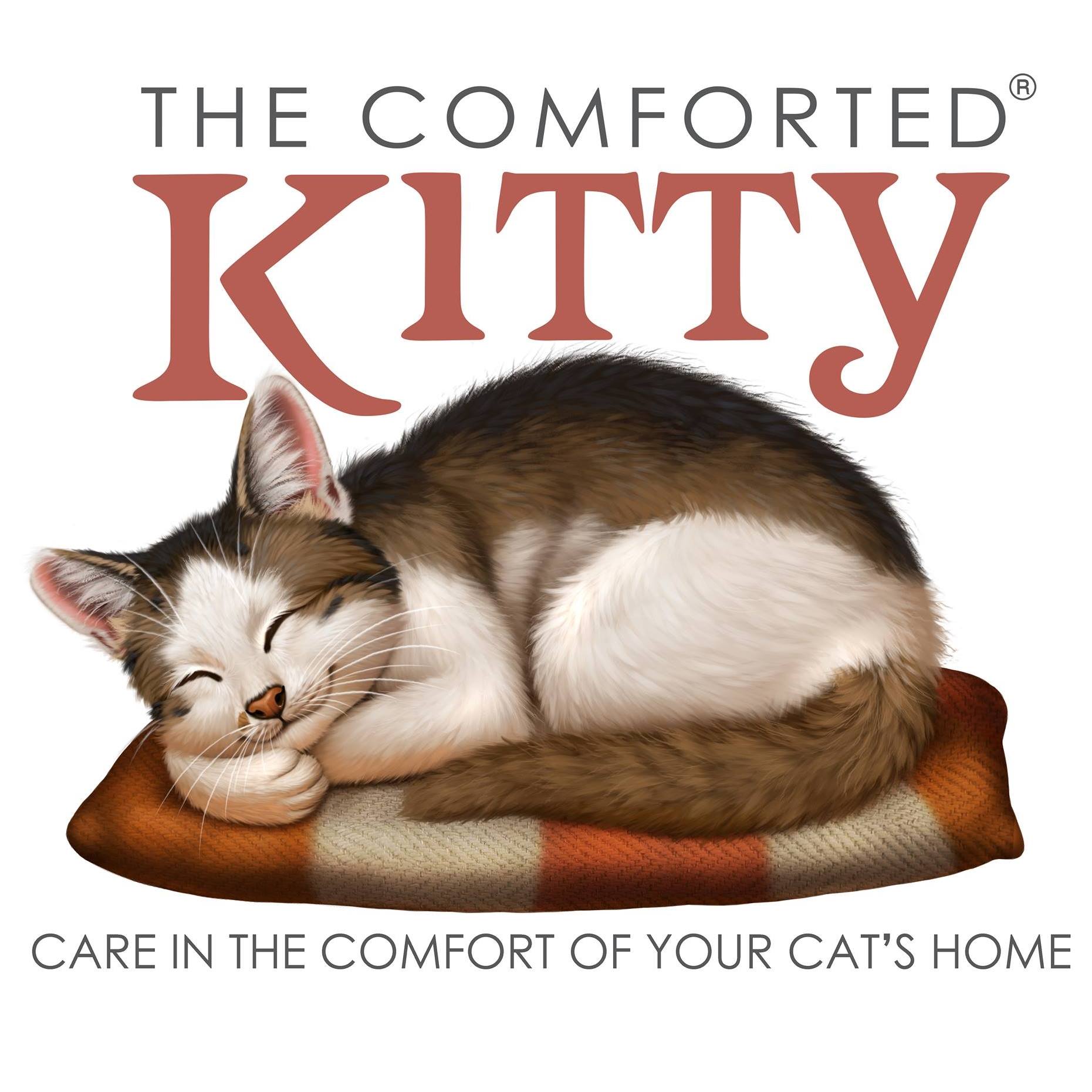 Image for The Comforted Kitty - San Francisco with ID of: 5967615