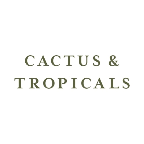 Image for Cactus & Tropicals with ID of: 5972798