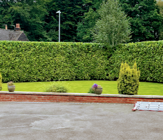 Image for Matthews Tree services with ID of: 5975536