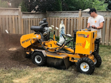 Image for RTE Tree Service with ID of: 5980351