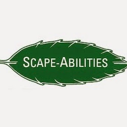 Image for Scape-Abilities with ID of: 5981295