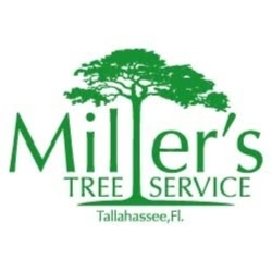 Image for Miller's Tree Service with ID of: 5985589