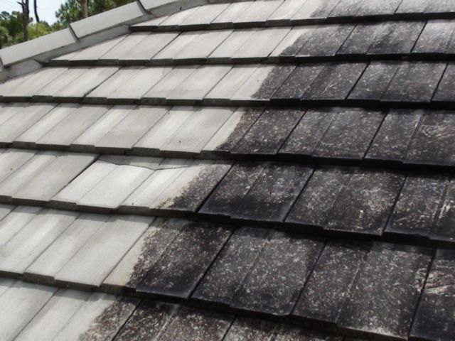 Image for Arrow Pressure Washing with ID of: 598854