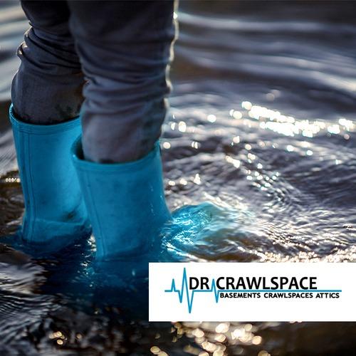 Image for Dr. Crawlspace with ID of: 5988802