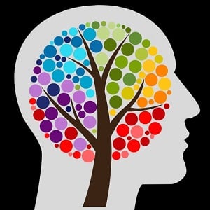 Image for Harvest Therapeutic Services with ID of: 5988836