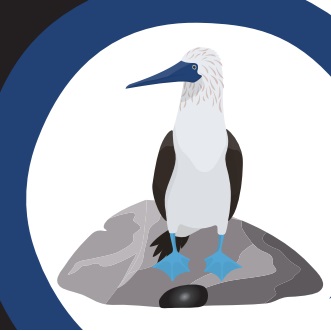 Image for Bird Rock Construction with ID of: 5993719