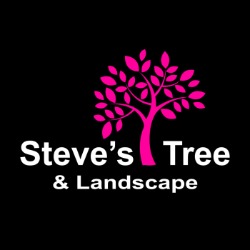 Image for Steve's Tree and Landscape with ID of: 5994266