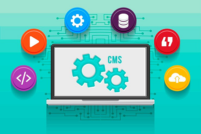 Image for Mastering WordPress CMS Customization: A Comprehensive Guide with ID of: 5997422