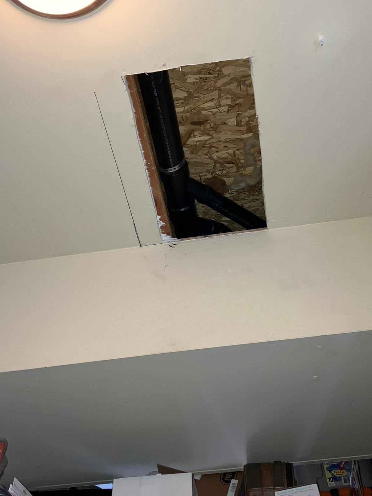 Image for Ready Rooter with ID of: 5998922