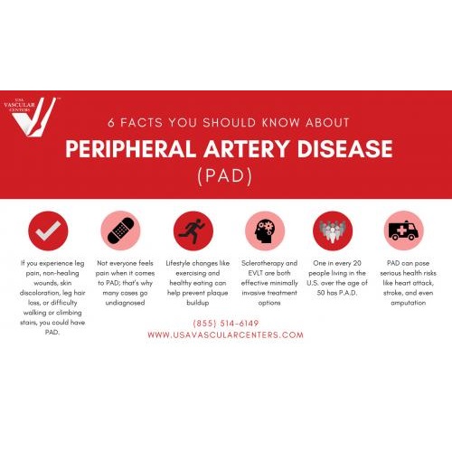 Image for USA Vascular Centers with ID of: 4396857