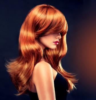 Image for KZ Academy with ID of: 4398378