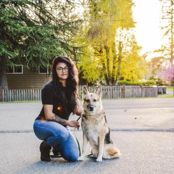 Image for Amani K9 with ID of: 4408987