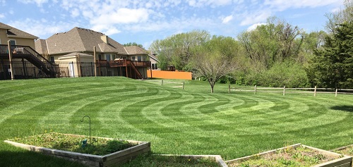 Image for Topeka Landscape, Inc with ID of: 4409019