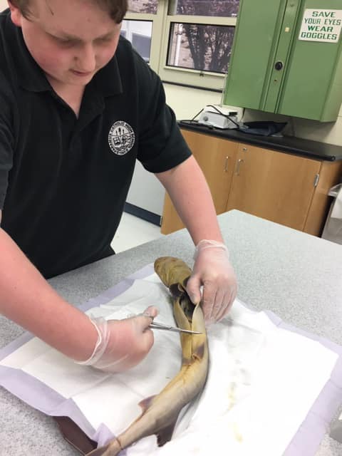 Image for Paramus Catholic High School with ID of: 4414460