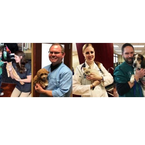 Image for Ancare Veterinary Clinic with ID of: 4415370