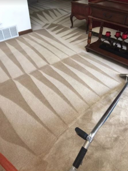 Image for Blues Carpet Cleaning with ID of: 4415788