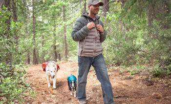 Image for Primal Needs Dog Training & Behavioral Solution with ID of: 4423650