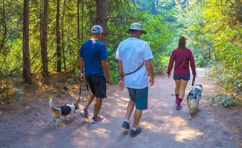 Image for Primal Needs Dog Training & Behavioral Solution with ID of: 4423670