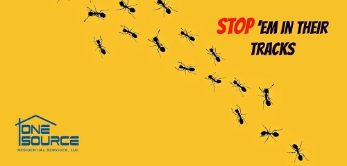 Image for One Source Pest Control - Pool Cleaning - Lawn Care with ID of: 4425390