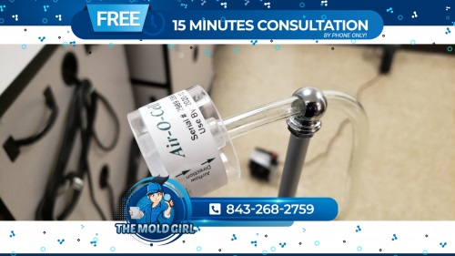 Image for The Mold Girl with ID of: 4425981
